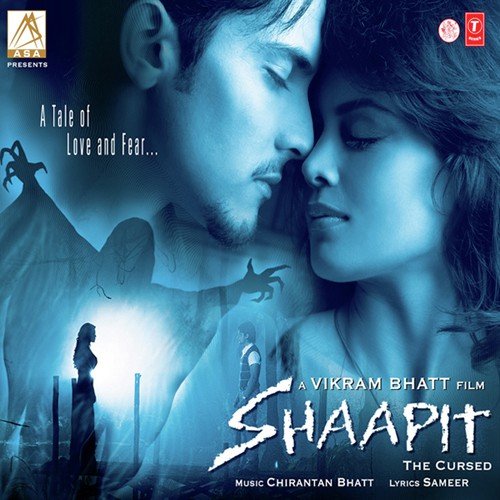 Shaapit 2010 poster