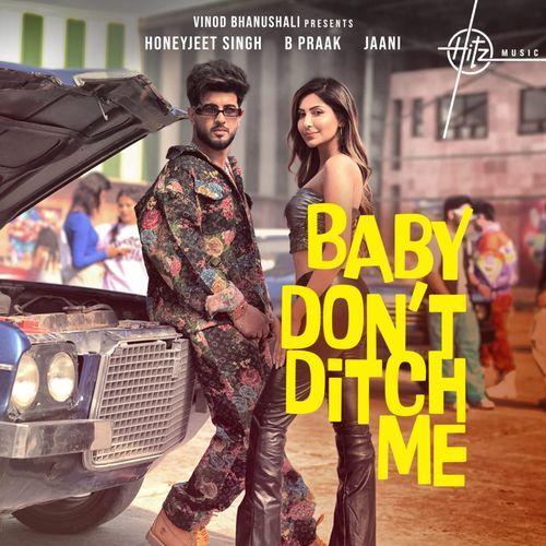 Baby Dont Ditch Me Poster